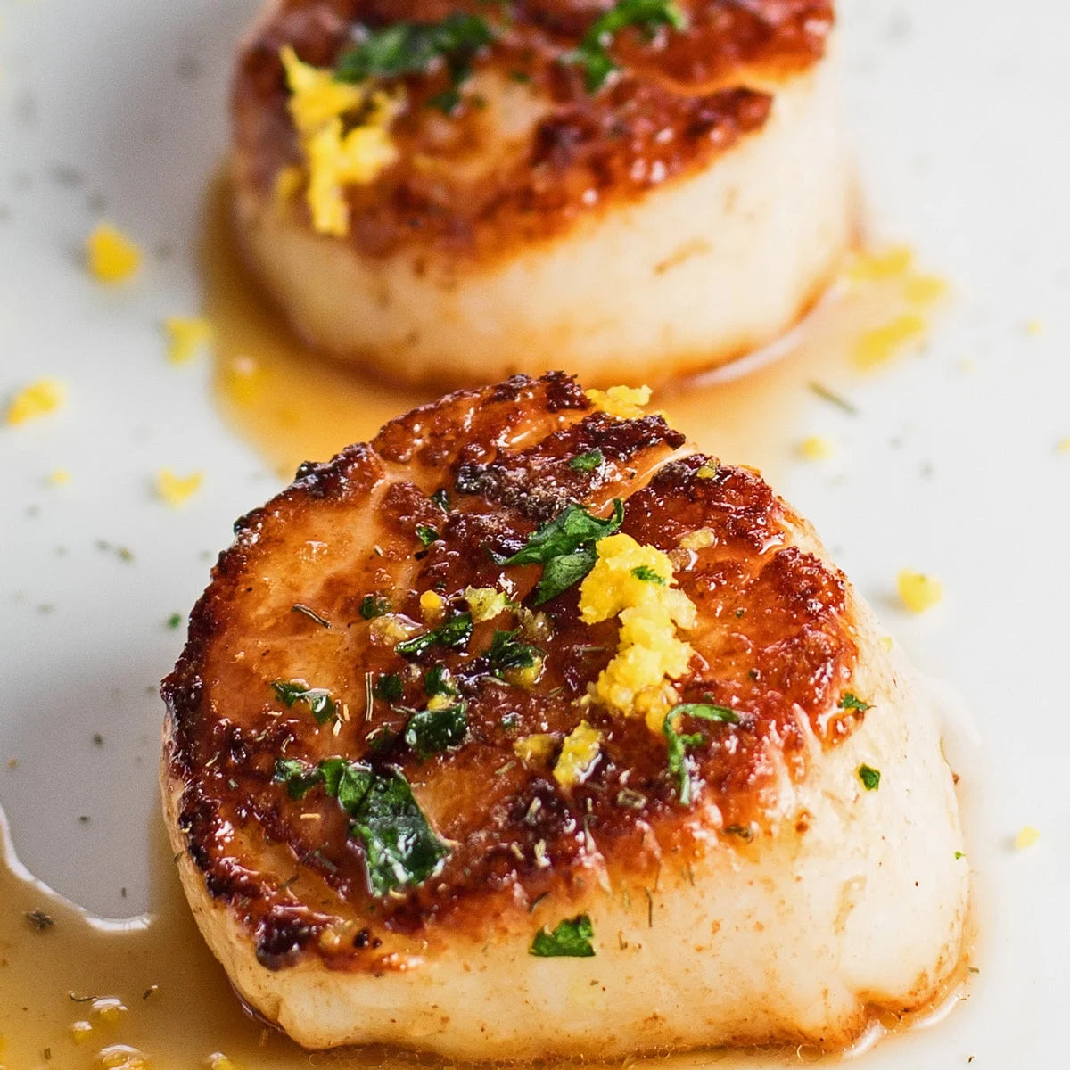 Scallops (2 lbs)