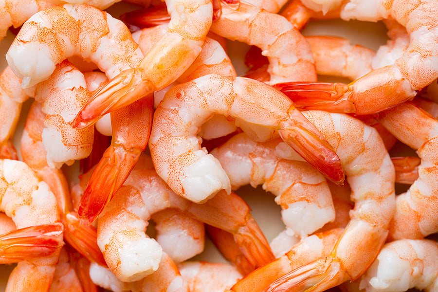 Jumbo Shrimp, Cooked Shrimp, Buy Shrimp